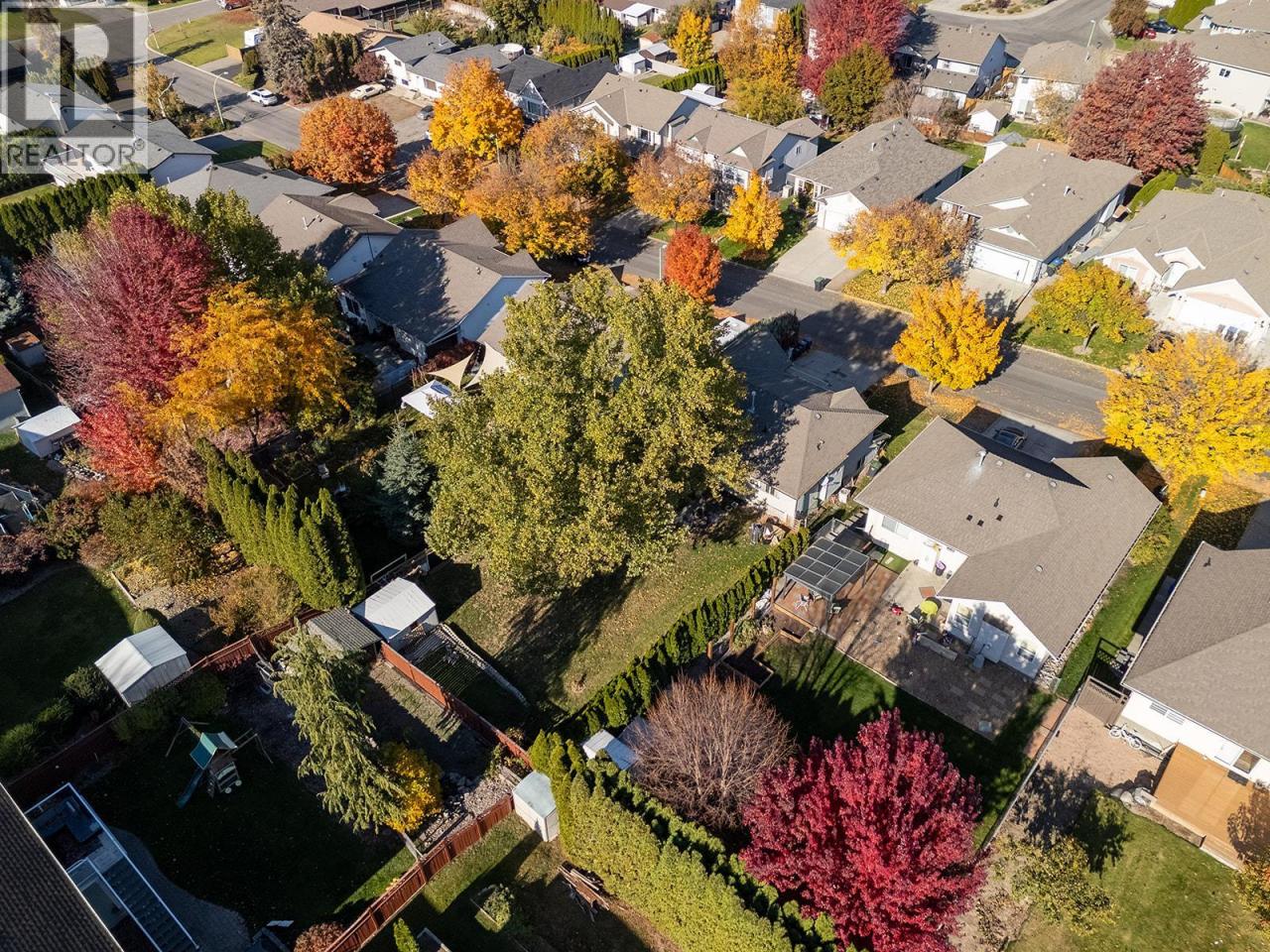 10403869_44.jpg