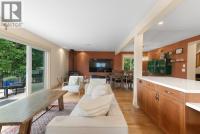 10397006_50.jpg