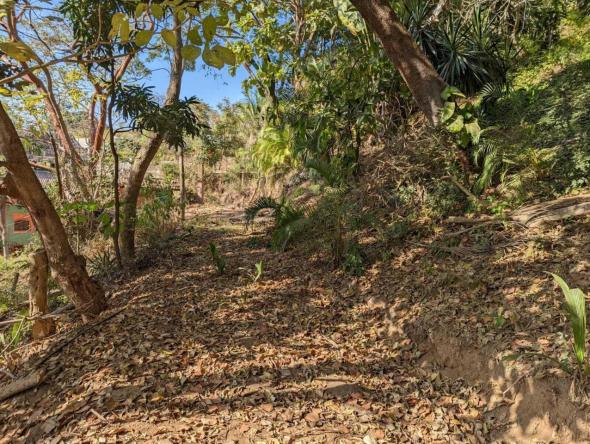 Land for sale in Sayulita